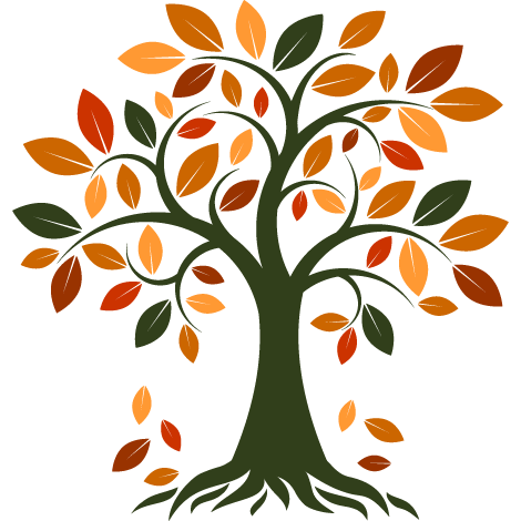 Herbstlicher Baum mit bunten Blättern steht für Steuererklärung bei 4Seasons in Karlsruhe