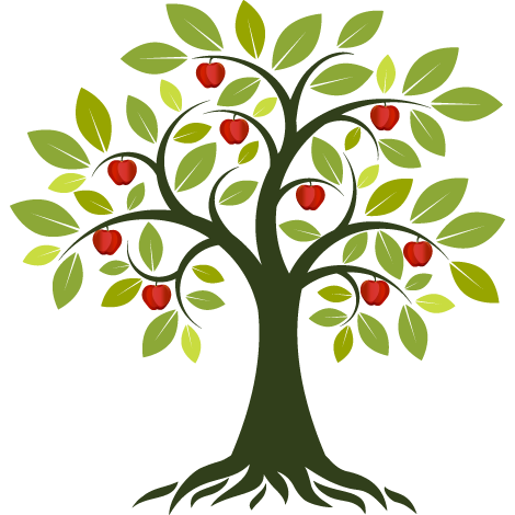 Sommerlicher Baum mit Äpfel für Jahresabschluss Steuerberater in Karlsruhe