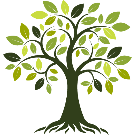 Baum mit Wurzeln Symbol für Stabilität Steuerberatung Jahresabschluss Karlsruhe